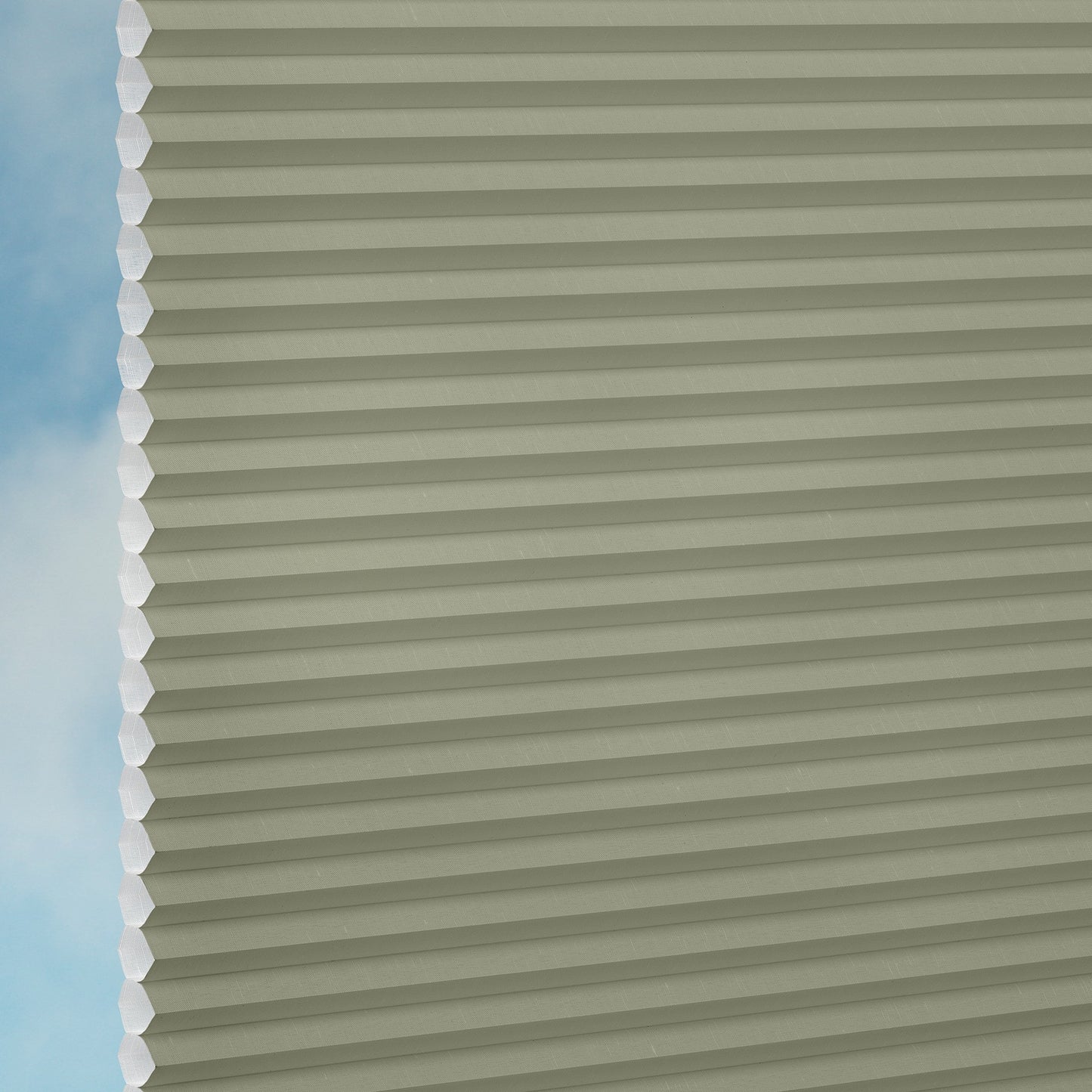 Royale 25 - 3640