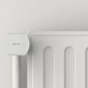 Somfy Thermostatic Valve io radiatortermostat 1299,00 kr