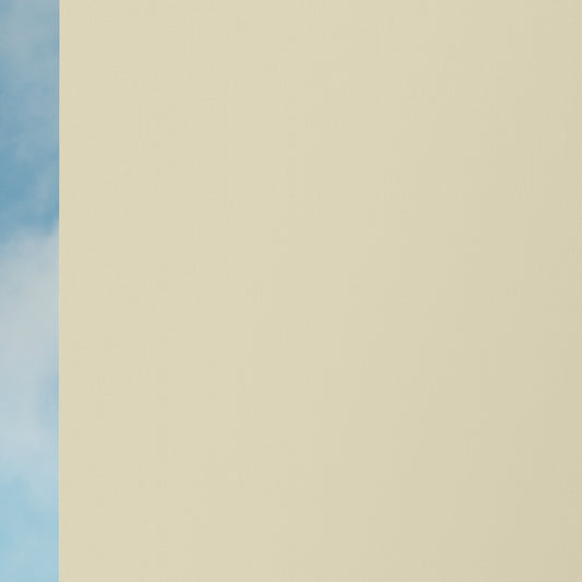 Cover BO 0601