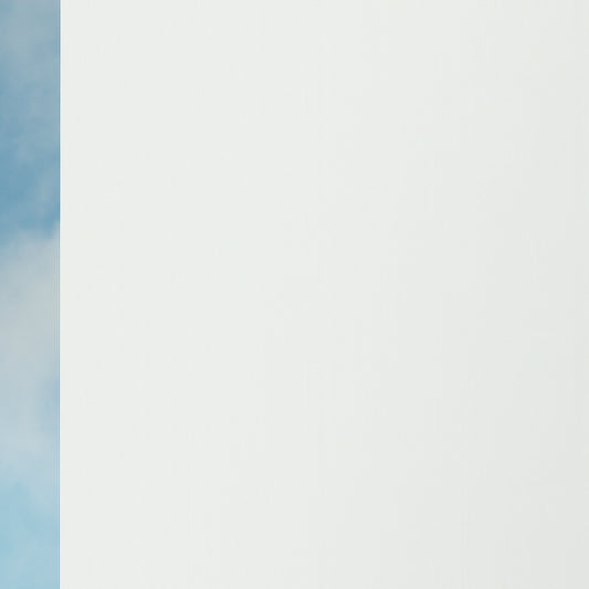 Cover BO 0008