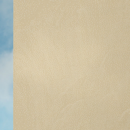 Sandstorm 0068